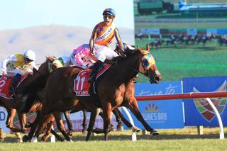 Melody Belle (NZ) claims the New Zealand Horse of the Year title.